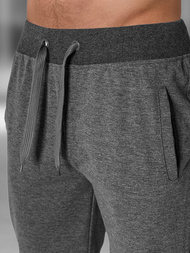 Muške sportske kratke hlače grafitne OZONEE JS/XW07/5Z