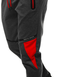 Muške sportske hlače grafitne OZONEE JS/AM106