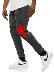 Muške sportske hlače grafitne OZONEE JS/AM106